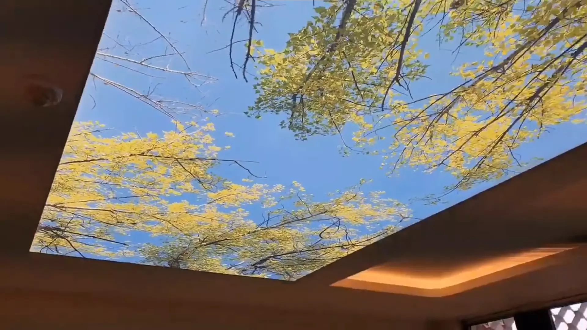 Новосибирск, Станиславского, 1, фото 3