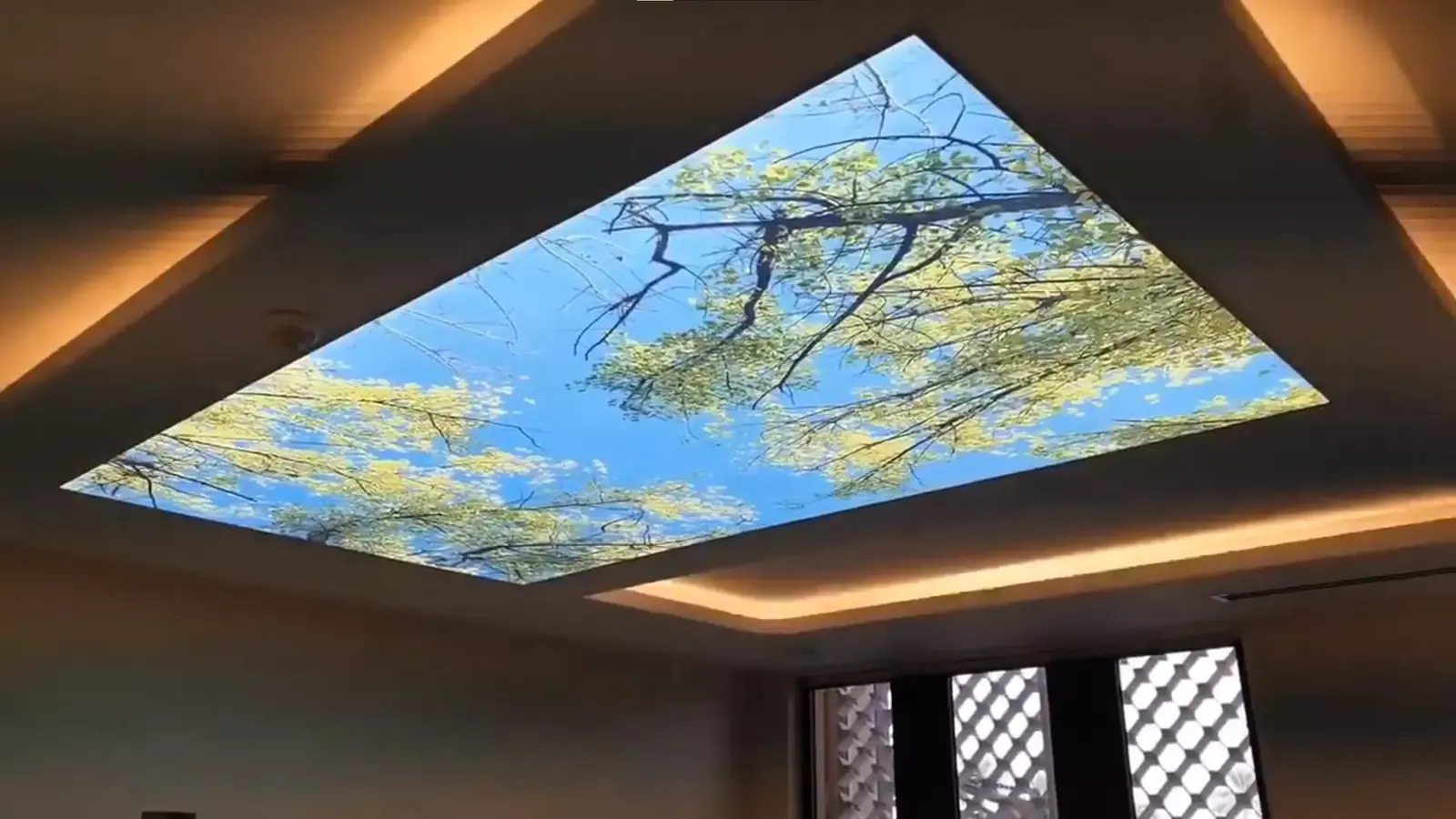 3D натяжной потолок — Новосибирск, проспект Дзержинского, 1а, фото 1